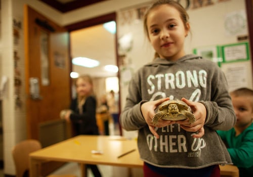 kid with turtle